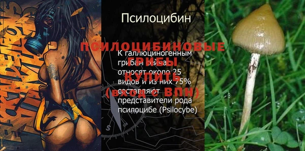 дживик Алексин