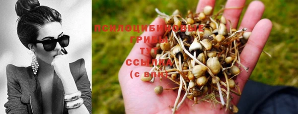 ПСИЛОЦИБИНОВЫЕ ГРИБЫ Армянск