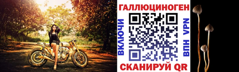 Псилоцибиновые грибы Magic Shrooms  Купить закладки  Верхний Тагил 